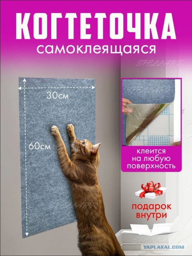 Как подстричь кошке ногти?