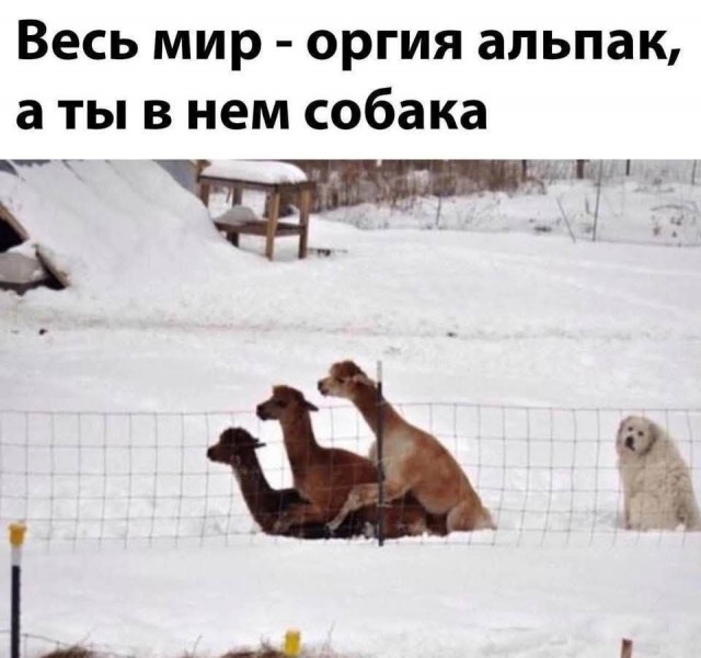 Так себе картинки 03.03.26