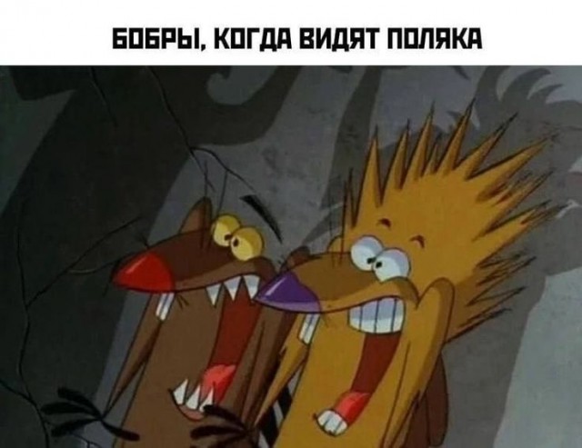 Среды картинки