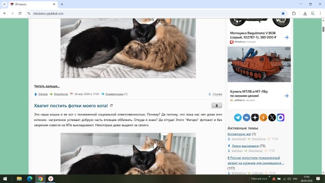 Котовторнк же!