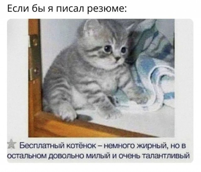 Картинки
