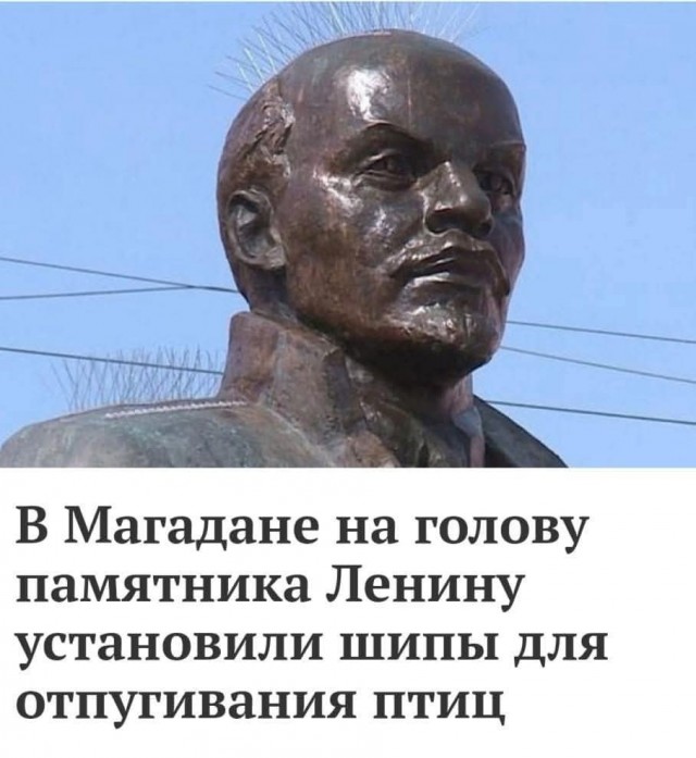 Веселые картинки в маленькую пятницу (15.07)
