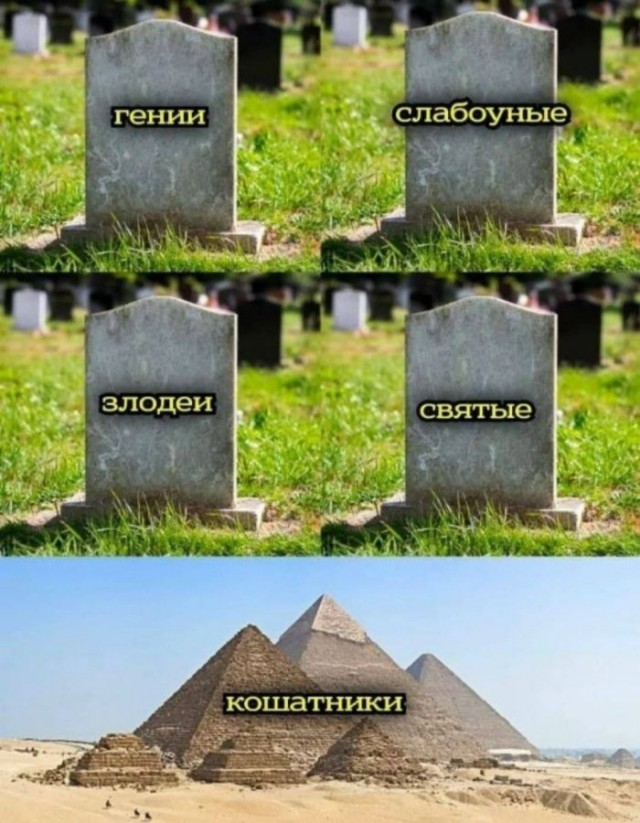 Так себе картинки 18.07.26