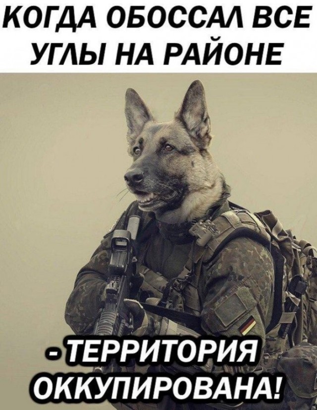 Веселые картинки в понедельник (24.08)
