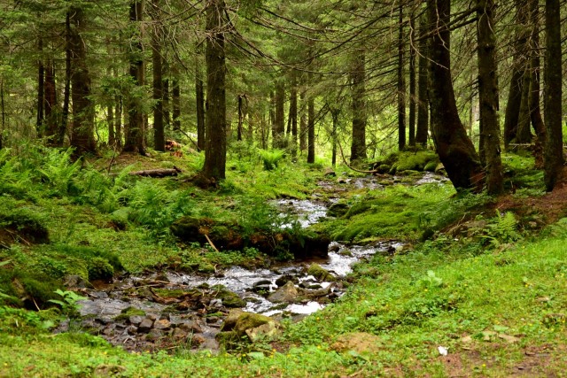 Гуцульские Карпаты