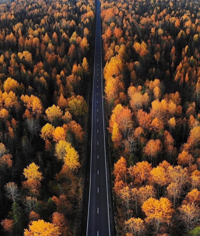 Дороги Карелии - отдельный вид искусства
