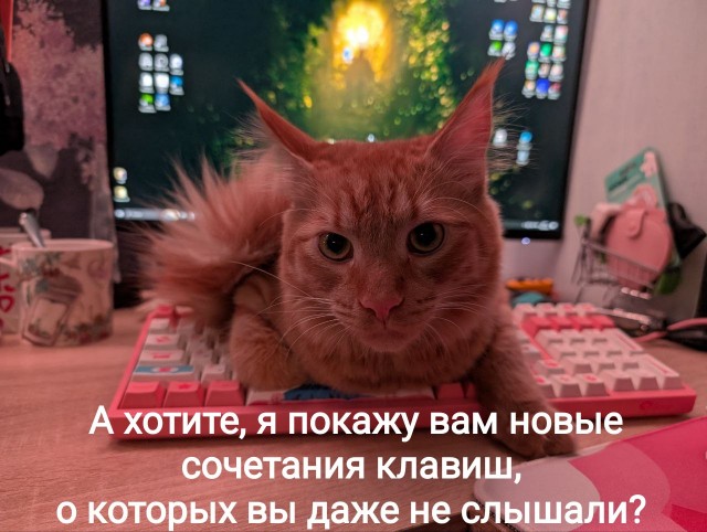 Уши чистить? Но сначала танец!