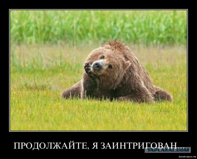 Медведь напал на человека