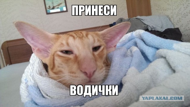 Похмелье...