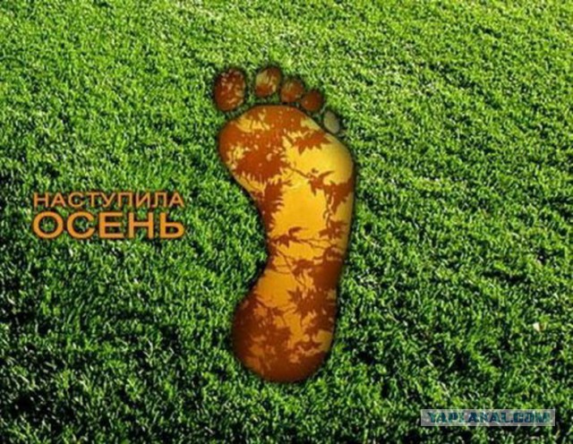 Плюсомет со шпалометом