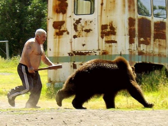 Весёлые картинки