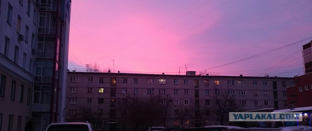 Разные разности с телефона