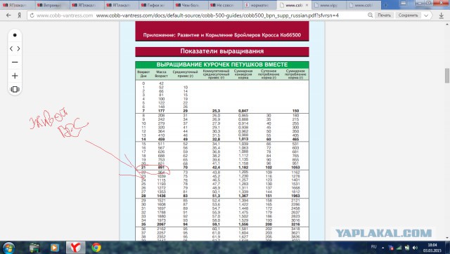 Вес бройлеров таблица в домашних условиях