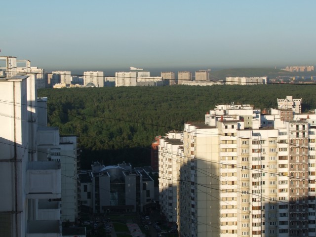 Когда деревья были большими