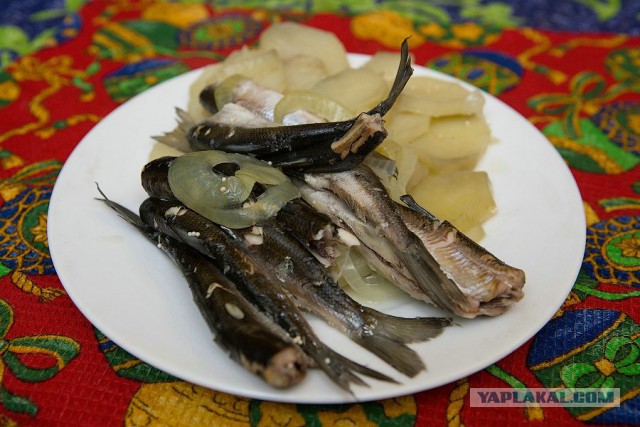 Вкуснейшие блюда российских регионов.