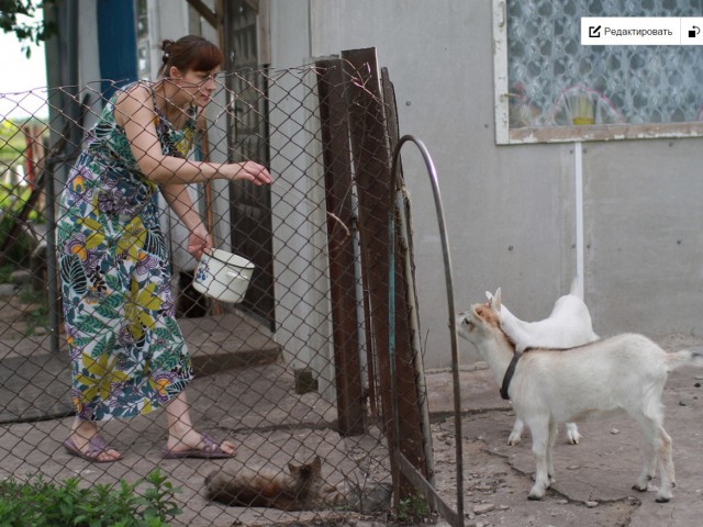 Операция "РЫБА"