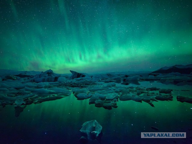 15 лучших кадров января от National Geographic