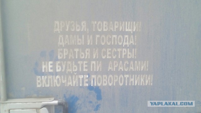 Что обычно водители пишут на своих автомобилях?
