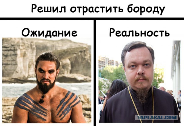 Борода