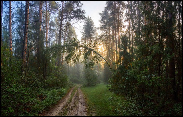 Подборка "тёплых, уютных, домашних" фотографий. Часть 7