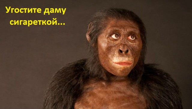 Королевы гламура