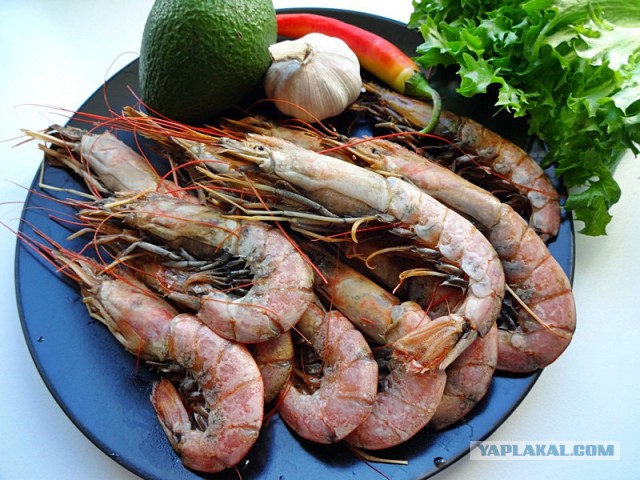 Мировая кулинария. День повара