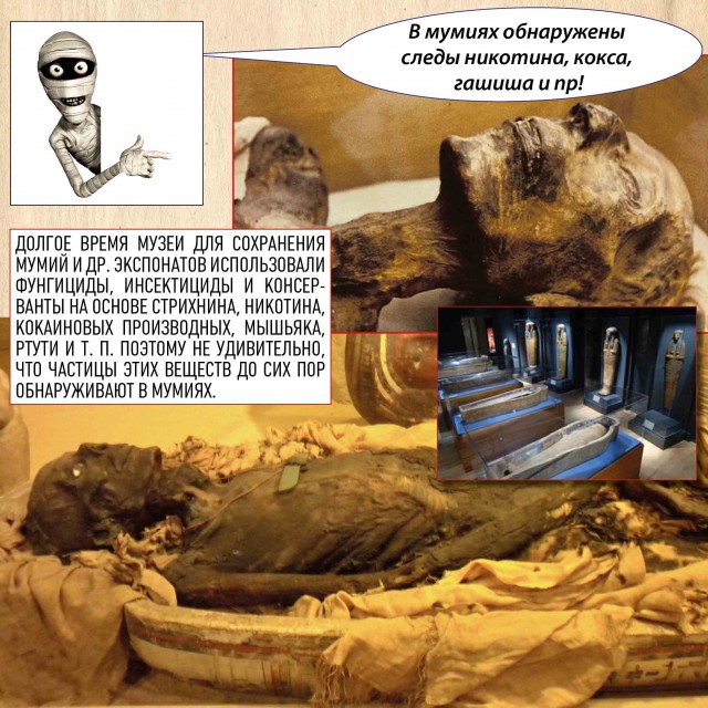 Познавательно о Древнем Египте