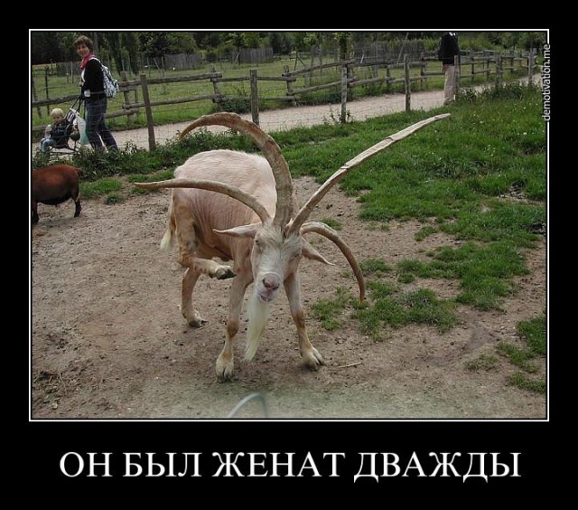 О подкаблучниках и женщинах, привыкших доминировать