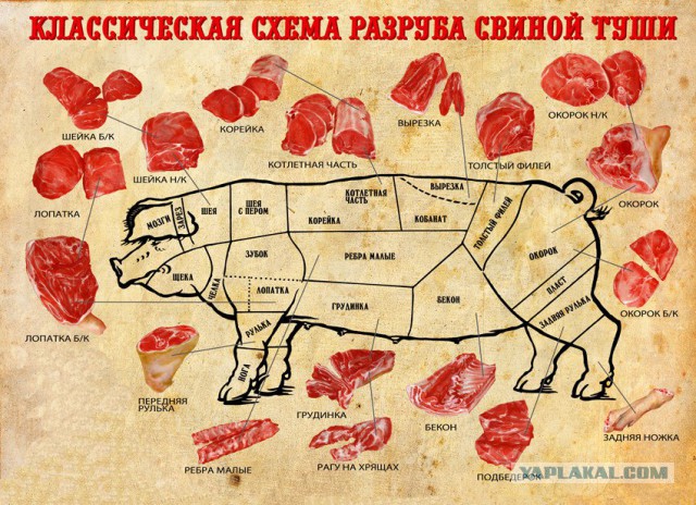 Свинина в елке и соус