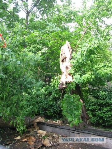 Водитель явно родился в рубашке