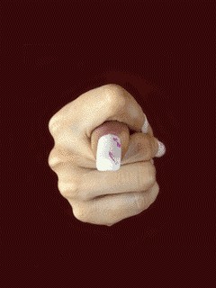 Итоги проверки пользователей