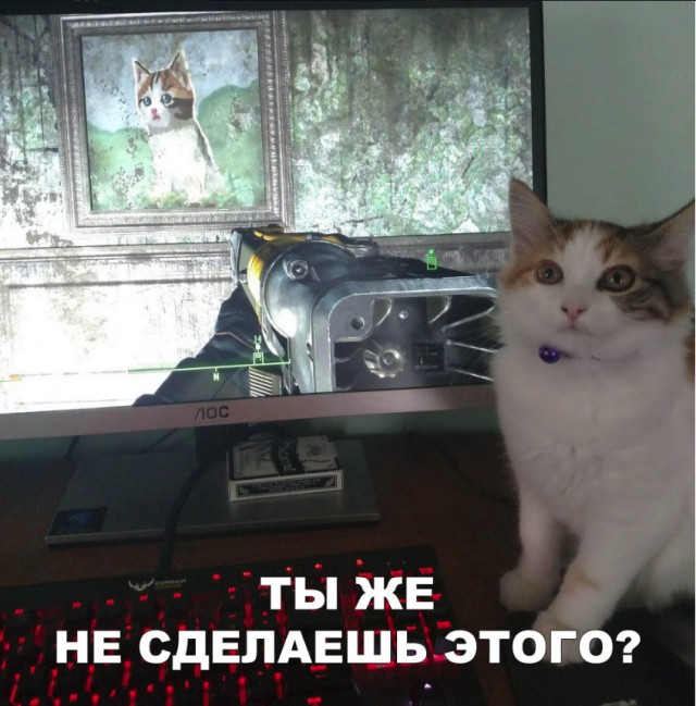 Прикольные картинки обо всём