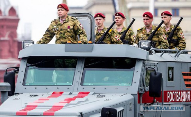 Киберстукачи. Кибердружина копирует мемы с ваших страниц в соцсетях и пишет заявления в полицию - взгляд изнутри