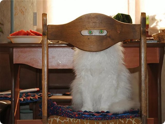 Живность из сети