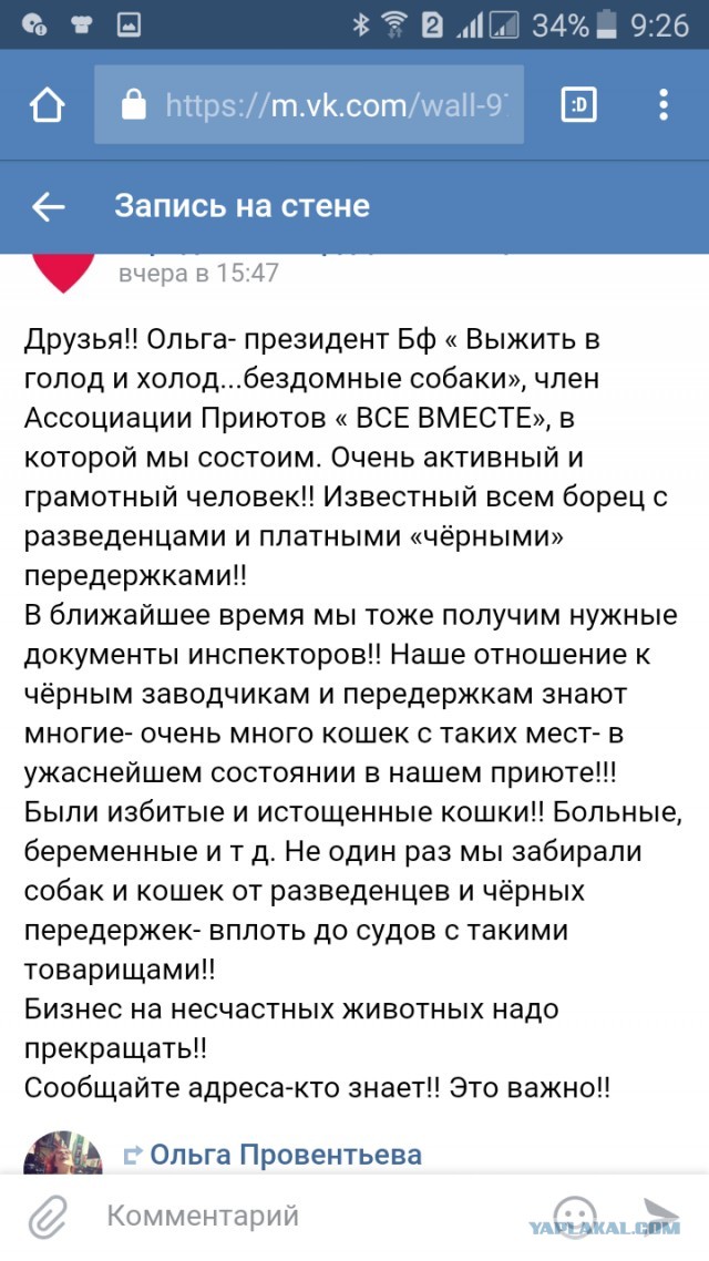 Помогите вернуть кота! Приют "Преданное сердце" украл кота и не отдает!-2