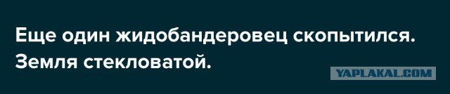 Последний бой эстонца на Донбассе