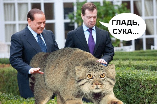 О чем разговор?