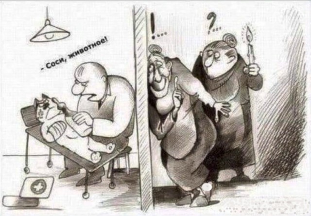 С котопятницей! Улыбнемся?