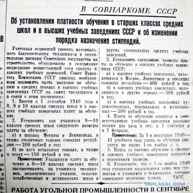 С*ка ты позорная