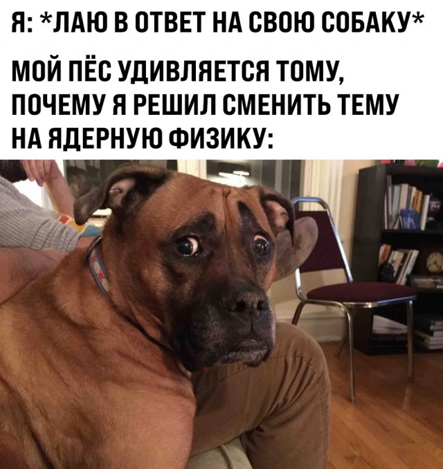 Дебилизмы из сети 03.02.21