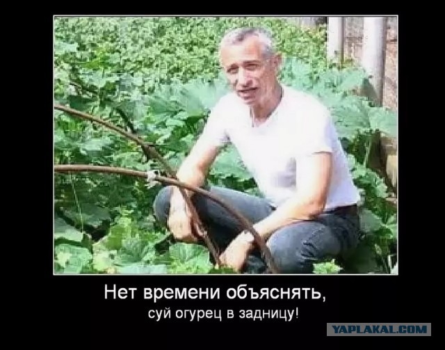 Учёный против буйного гомеопата