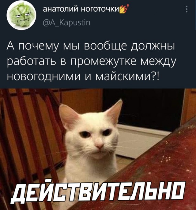 Весёлый полтишок 26.04