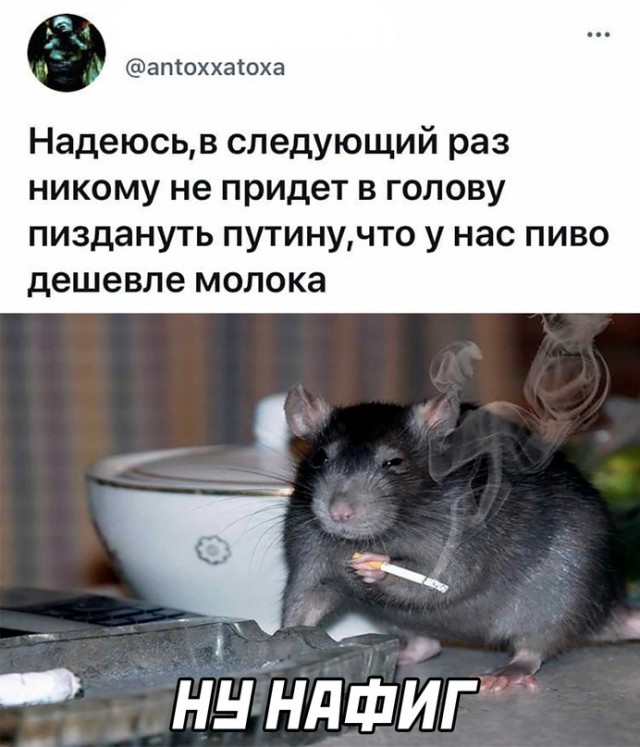 Весёлый полтишок 18.07