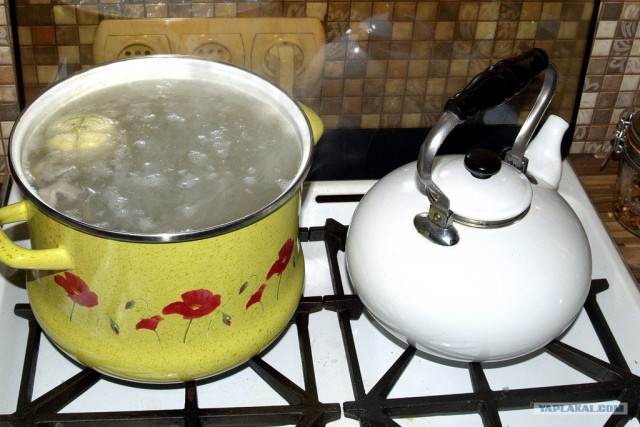 Все из рыбы!