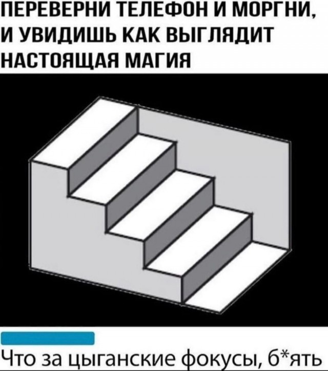 Бредзона 08.08.21