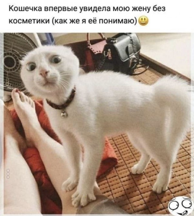 Картинки и мемы, всем прекрасных выходных