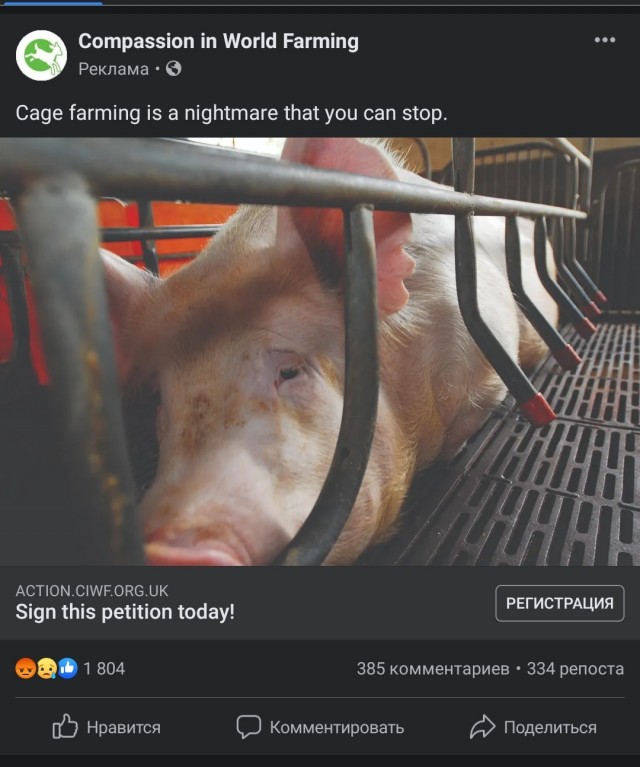 Новый порядок