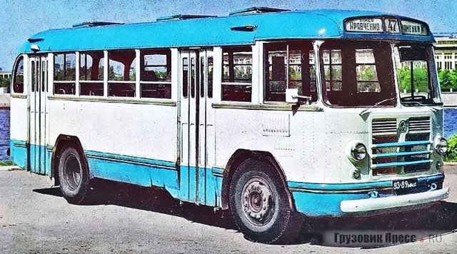 Самые яркие впечатления из детства