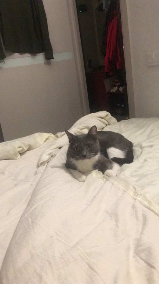 Котовторниковское