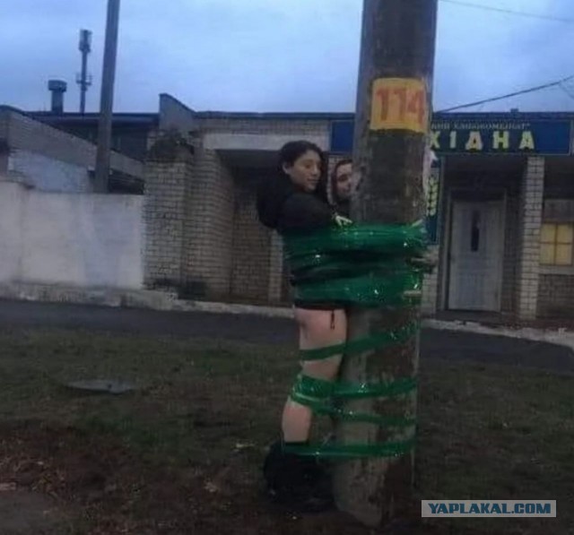 Киевский канибализм.